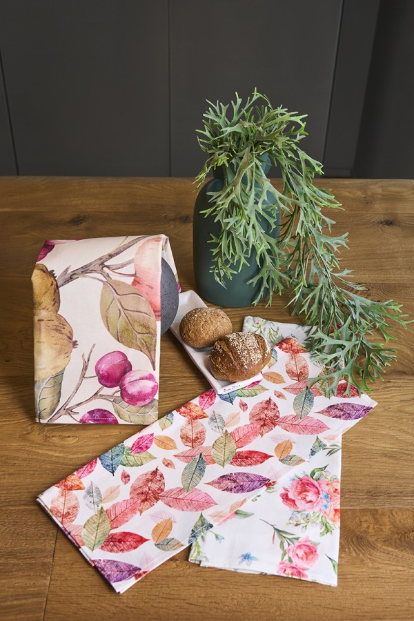 Set strofinacci Allegria